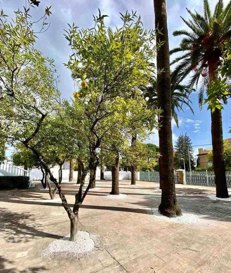 Nuevo Los Almendros 202 Complejo Turistico Appartamento Cordova Esterno foto